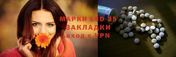 индика Грязи