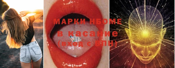 стафф Заводоуковск
