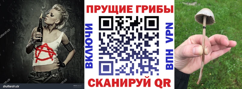 Галлюциногенные грибы Magic Shrooms  Исилькуль 